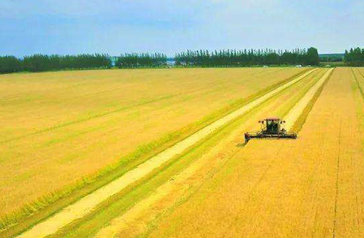 蒙東甕福現(xiàn)代農(nóng)業(yè)服務(wù)