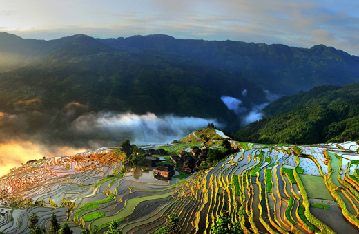 貴州吉態(tài)食品有限公司