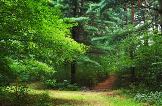 通遼市森林公安局